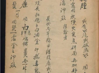 德国某大学收藏的稀缺中医古籍