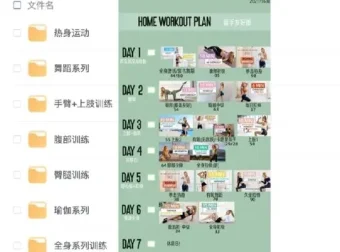 《新帕梅拉健身课程全集》