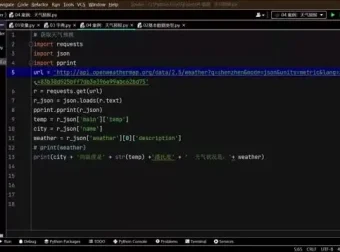 精通Python爬虫与JS逆向：从入门到实战，掌握高级爬虫技巧