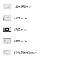 《拼多多虚拟撸单项目：直击下单转化实战指南》