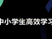学习白皮书：内驱力、标准学习、高效方法与学习规划的完美融合