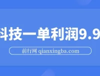 黑科技玩法项目：一单利润9.9元，新手小白轻松上手日赚千元