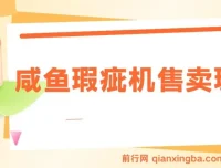 咸鱼瑕疵机售卖玩法课程：0基础上手，日入可观