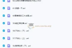 李波老师：家庭教育实战与走心家族课程合集