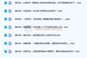 听侦探故事，学经典成语——小学必备成语大全