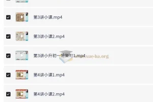 何引琼六年级小学数学寒假课程