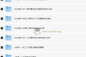 老Z讲数学：初中数学专项提升课程