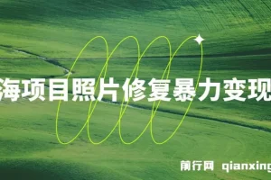 蓝海照片修复项目：无门槛小白轻松日入500+