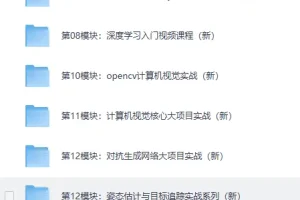 《路飞Python人工智能AI工程师课程》