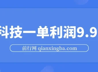 黑科技玩法项目：一单利润9.9元，新手小白轻松上手日赚千元