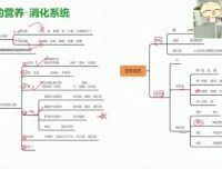 初一生物春季课程：全面掌握人体系统与健康