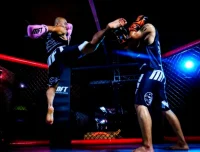 陈鹤皋无限制格斗术：实战导向的厉害防身术