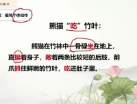 叶子老师小学语文阅读写作技巧全攻略