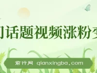热门话题视频涨粉变现项目解析：多平台可实现日收益千元