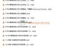 道御堂手诊初高级课程合集