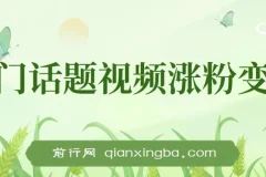 热门话题视频涨粉变现项目解析：多平台可实现日收益千元