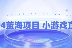 2024小游戏直播：超级蓝海项目，小白当天上手月入可观