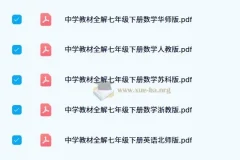 薛金星初中教材全解及同步作文全解资料