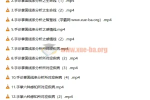 道御堂手诊初高级课程合集