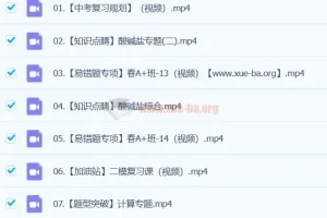 陈耀泉初中初三中考化学寒假春季班课程