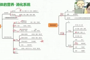 初一生物春季课程：全面掌握人体系统与健康