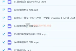 冯美初三数学A+暑假班