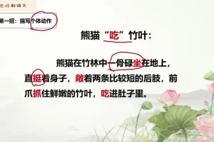 叶子老师小学语文阅读写作技巧全攻略