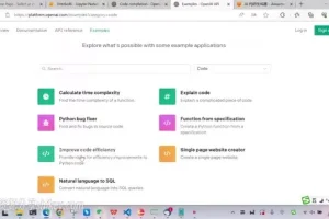 大模型LLM开发与编程实战指南