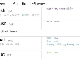 光速英语高阶词汇速记（9000 – 10000词）