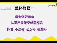 闲鱼无货源电商实战课程：零基础开启月入1.5万之路