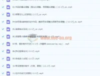 《不负芳华：花卉摄影技法完全宝典后期课程》