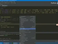 杨淑娟零基础Python开发实战教程：从入门到精通