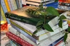 100本精选生活实用图书合集：全方位提升技能与生活品质