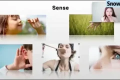 Snow英语口语课：助力零基础学习者实现流利说