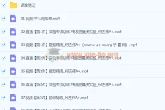 2024高三高考物理何连伟A+寒假班