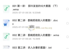 口才套路学：好口才速成秘笈