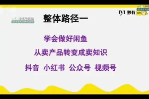 闲鱼无货源电商实战课程：零基础开启月入1.5万之路