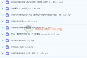 《不负芳华：花卉摄影技法完全宝典后期课程》