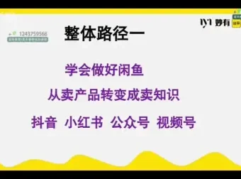 闲鱼无货源电商实战课程：零基础开启月入1.5万之路
