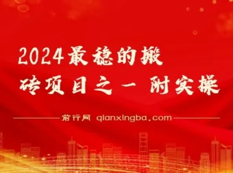 2024稳定搬砖项目实操分享