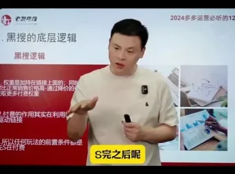 《2024拼多多爆款店铺速成课程：12节课助30天销量飙升》