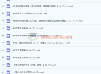 《不负芳华：花卉摄影技法完全宝典后期课程》