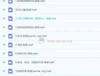 杨萌初三中考物理秋季上A+课程
