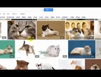 【抖音运营实战】从零到百万粉丝：账号定位与视频制作全攻略