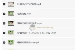 小学数学小升初：六年级数学培训S班（史乐 下册）