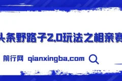 微头条野路子2.0玩法：相亲赛道保姆级教程，单账号日稳定300+