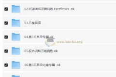 功夫英语全套课程：开启流利英语口语学习之旅