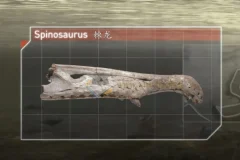 3 – 8岁儿童启蒙必看纪录片精选合集