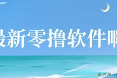 揭秘最新零撸软件：单机日收益可观，手机操作提现无门槛