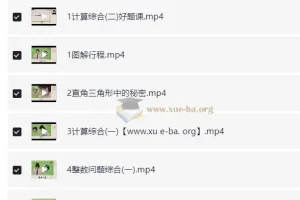 小学数学小升初：六年级数学培训S班（史乐 下册）